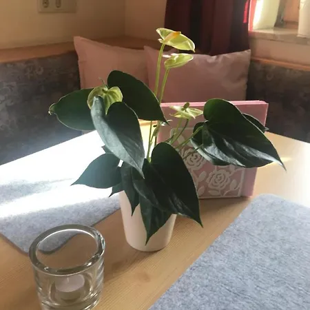 Apartment Haus Almrose Leutasch